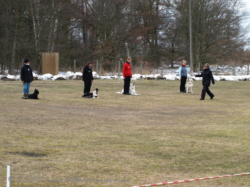 20130406-121912-0942-x_mini
