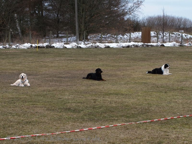 20130406-122522-0945-x_mini