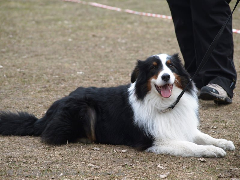 20130406-135826-1026-x_mini