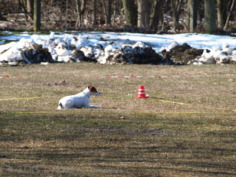 20130407-090713-1059-x_mini