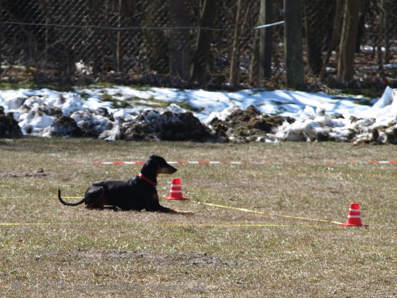 20130407-112609-1080-x_mini