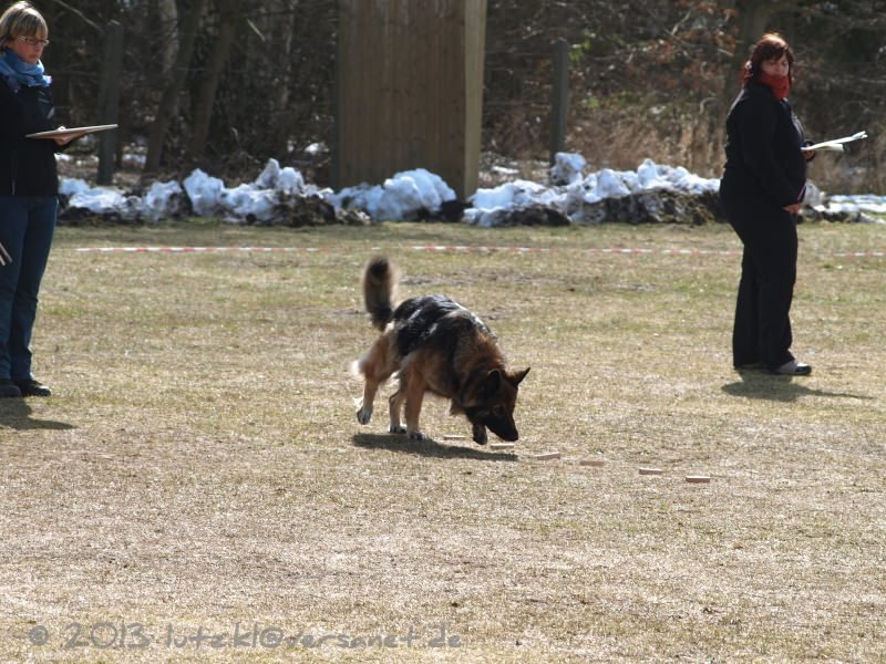 20130407-141730-1134-x_mini