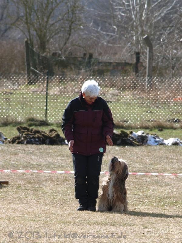 20130407-144129-1137-x_mini