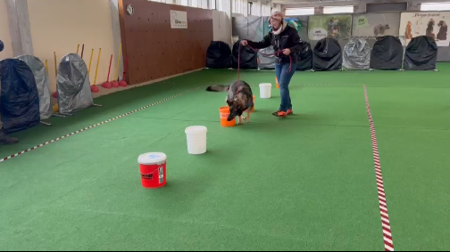 Esmee%20Beh%C3%A4lterstrecke