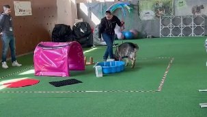 Esmee%20Tr%C3%BCmmer