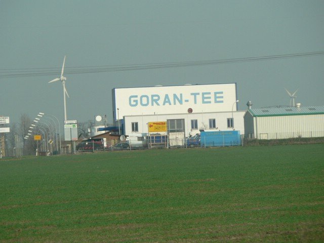 goran_tee
