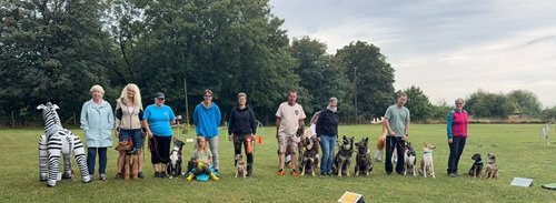 Gruppe Gruppe