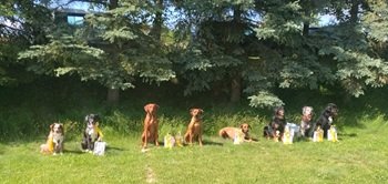 Gruppenbild Gruppenbild