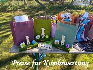 IMG-20260426-WA0011
