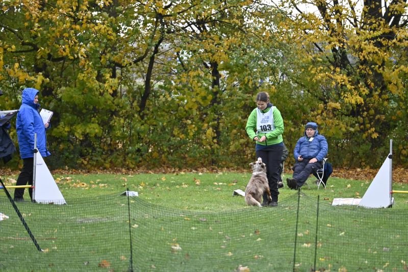 Klein%20DHV%20DM%20RO%202025%20%282%29