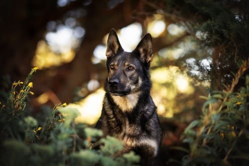 Klein%20Oprah1-Druck Klein%20Oprah1-Druck