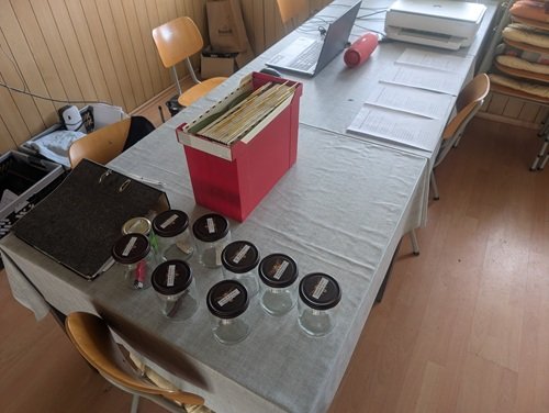 PXL_20260418_064208240