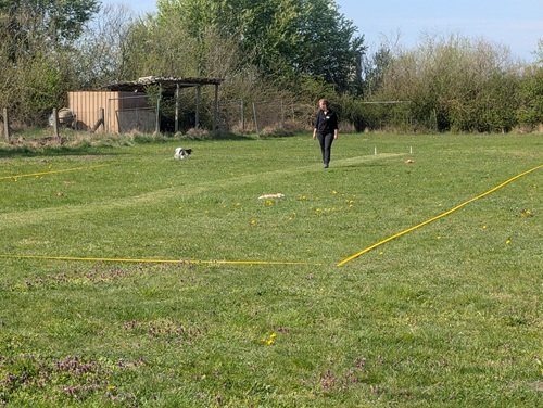 PXL_20260418_091140984