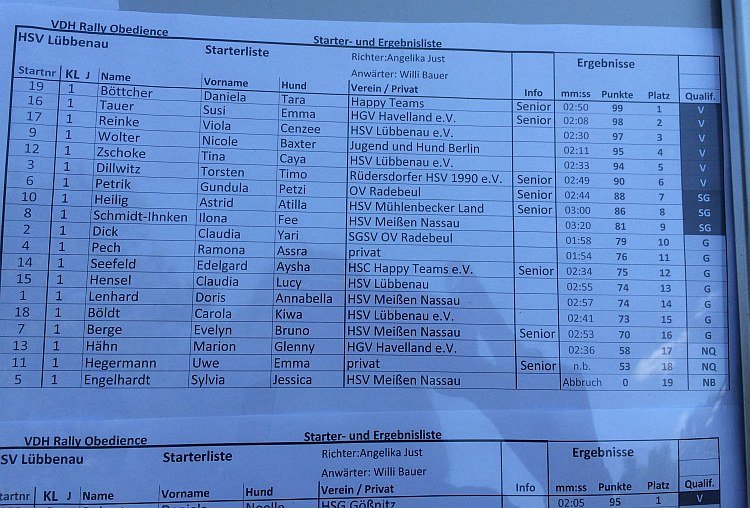 rallyergeb1