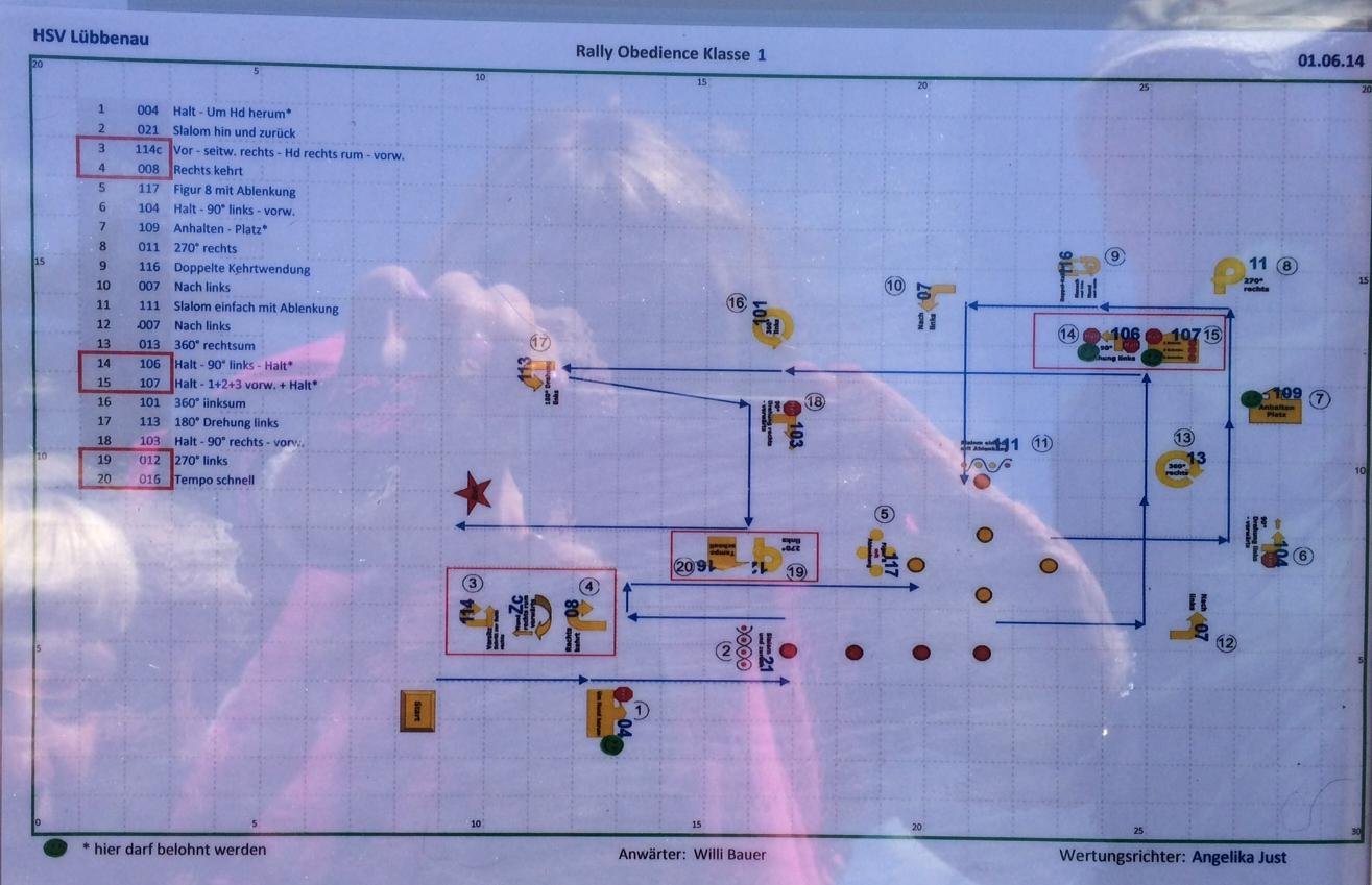 rallyparcour1
