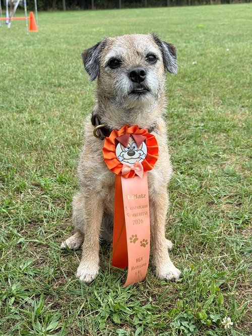 Stui Gewinner Stui Gewinner