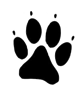 Tatze%20transparent