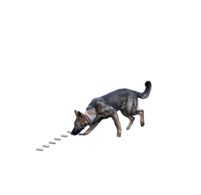 Gl%C3%B6ckchen%20suchen%20mit%20H%C3%B6lzer%20klein