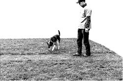 Matthias%20Fl%C3%A4che%20als%20Grau Matthias%20Fl%C3%A4che%20als%20Grau