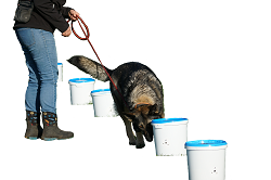 SHS%20Eimer%20Esmee%202 SHS%20Eimer%20Esmee%202