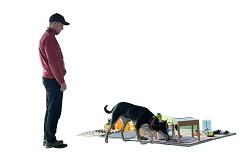 Tr%C3%BCmmer%20Matthias%20klein Tr%C3%BCmmer%20Matthias%20klein